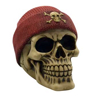 Pirate Skull bank